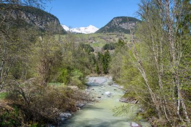 Açık bir bahar gününde, bir dağ manzarasında ağaçlarla kaplı bir dere. Filisur, İsviçre.