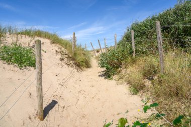 Kum tepelerinden sahile giden terk edilmiş bir patika. Wenduine, Belçika.