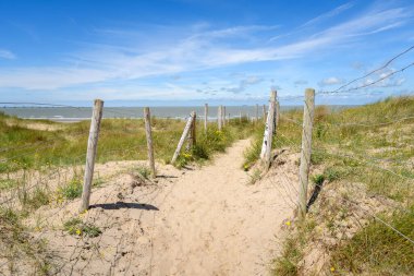 Güneşli bir yaz gününde kumlu bir plaja giden çitlerin arasından terk edilmiş bir yol. Wenduine, Belçika.
