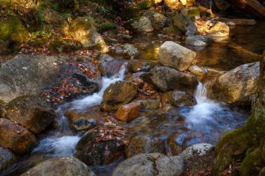 Sonbaharda bir dağ deresi boyunca küçük bir şelalenin yakınında. Franconia Notch, NH 'den. ABD.