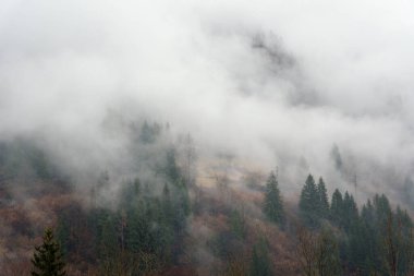 Öngörülen dağ, bir kış günü yoğun bir sis bulutuyla örtüldü. Dolomitler, İtalya.