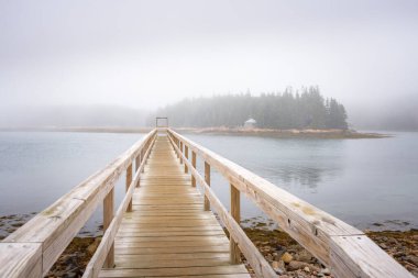 Sonbaharda Maine 'de sisle kaplanmış bir körfezin kıyısındaki boş iskele. Schoodic Yarımadası, ME, ABD.