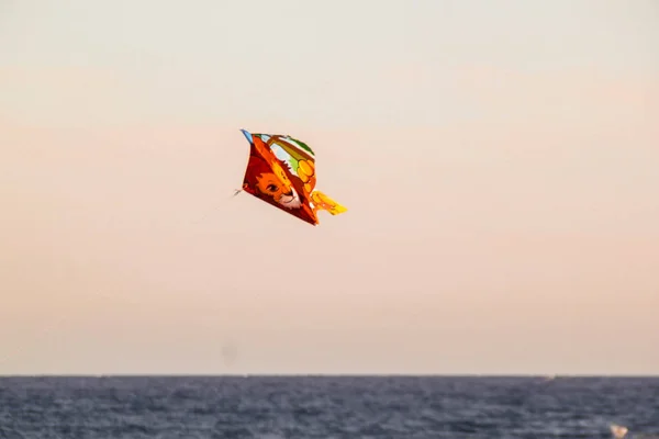 Drachen Fliegen Wind — Stockfoto