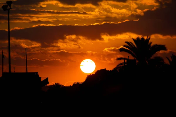 Gün batımında kırmızı bir güneş ve palmiye ağaçları