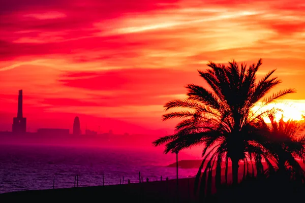 Sahilde günbatımı