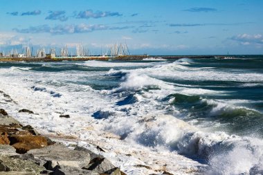 Arka planda dalgalar olan deniz kıyısı manzarası