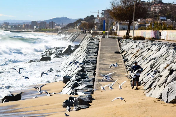 Akdeniz kıyıları Katalonya 'da