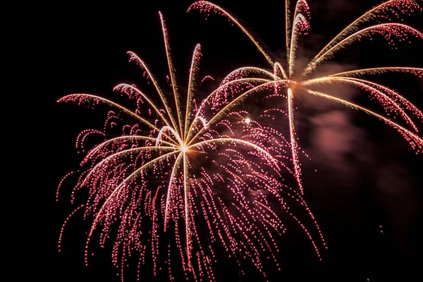 gökyüzü siyah arka plan üzerinde renkli havai fişek