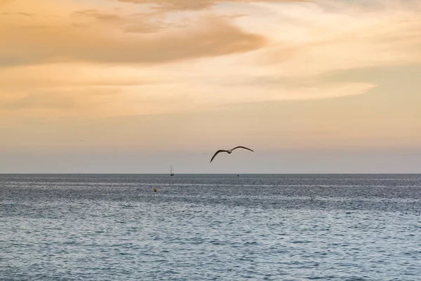 Denizin üzerinde güzel bir gün batımı