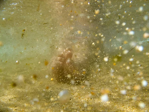 Littel Denizin Altında Besleniyor — Stok fotoğraf