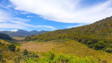 Horton Plains Sri Lanka 'nın arazi fotoğrafı
