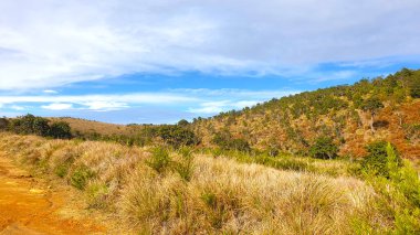 Güzel Horton Plains Sri Lanka