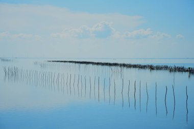 Mannar Sri Lanka 'da mavi gökyüzü ve bulutlar- manzara fotoğrafçılığı.