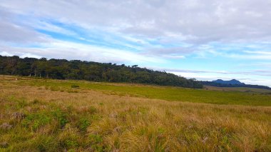 Horton gündüz vakti bulutlu gökyüzü ile güzel manzara fotoğrafçılığını ovalıyor..