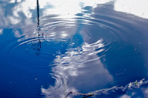 Waterdruppel Het Wateroppervlak — Stockfoto
