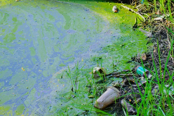 Yeşil Gölün Kirliliği Çöp Dolu Pis Göl — Stok fotoğraf