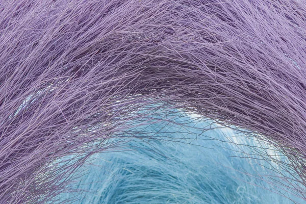 close - up, texture of purple, purple color, soft focus.
