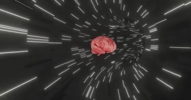 Cerveau Voyage Dans Tunnel Abstrait Avec Des Lignes Brillantes — Video
