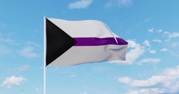 Ondas Bandeira Orgulho Demisexual Céu — Vídeo de Stock