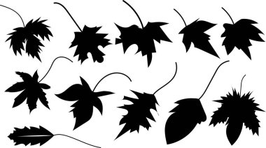 Autumn Leaves koleksiyon siluet vektör trend tasarımı 