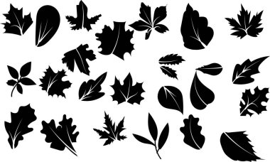 Autumn Leaves koleksiyon siluet vektör trend tasarımı 