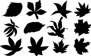 Autumn Leaves koleksiyon siluet vektör trend tasarımı 