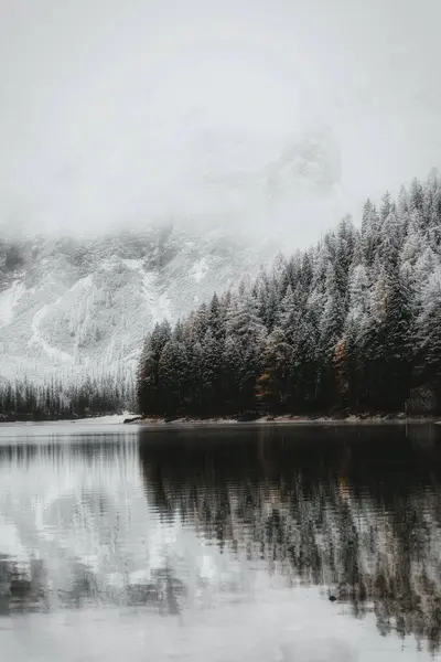 Schöne Winterlandschaft Mit Schnee lizenzfreie Stockbilder