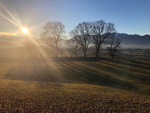 Avusturya dağlarında kış güneşi, arka ışık, mavi gökyüzü