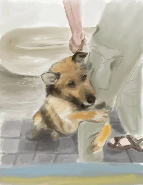 Herson Dog Ukraine Help — Stock Photo, Image