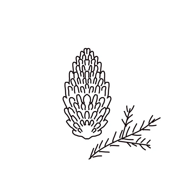 Illustration Simple Black White Fir Cone — Stock Photo, Image