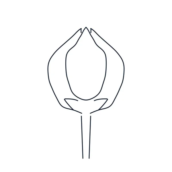Illust Preto Branco Flor Elemento Projeto Logotipo Elemento Fundo Branco — Fotografia de Stock