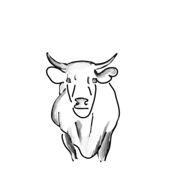 Ілюстрація Малюнок Корови Ескіз Символ Ілюстрація Простий Малюнок Марка Бренду — стокове фото