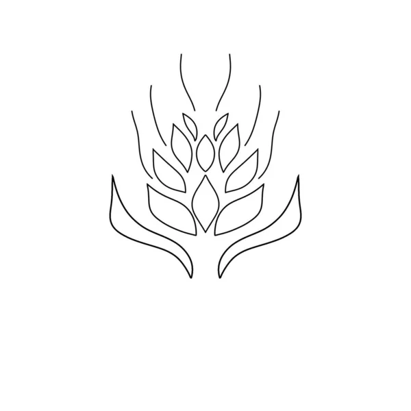 Wzór Ucho Pszenicy Prosty Rysunek Białym Tle Znak Symbol Logo — Zdjęcie stockowe