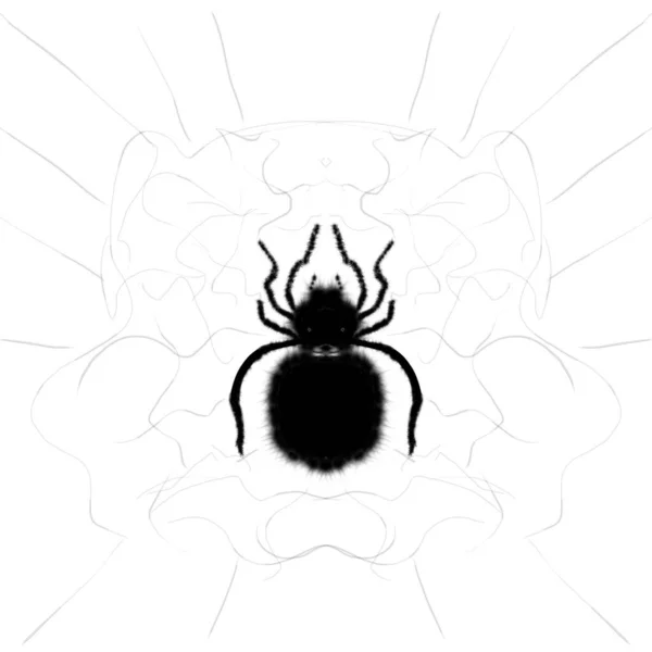 Obrázek Černého Pavouka Bílém Pozadí Cartoon Skica — Stock fotografie