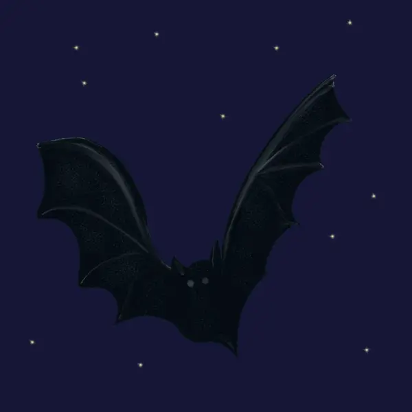 蓝色背景上的黑色蝙蝠的图解 晚安Hallobetween — 图库照片