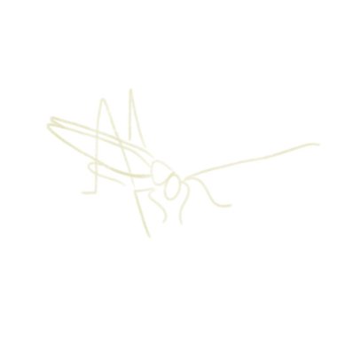 Çekirge, basit çizimler, çizgiler, logo ya da logonun bir parçası. Dekor. minimalizm