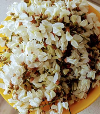 Fotoğraf, çiçek, yaz. Beyaz, 