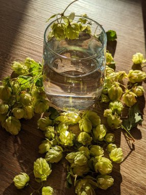 hops fabrikası, umutlar, fabrika, fotoğraf, bira, bira üretimi, yeşiller, hasat, üretim, gıda,