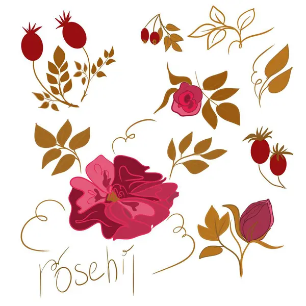 Çiçekler ve yapraklar ve gül kalemi, desen, dekor, sanat, sembol, logonun bir parçası, çiçek, set