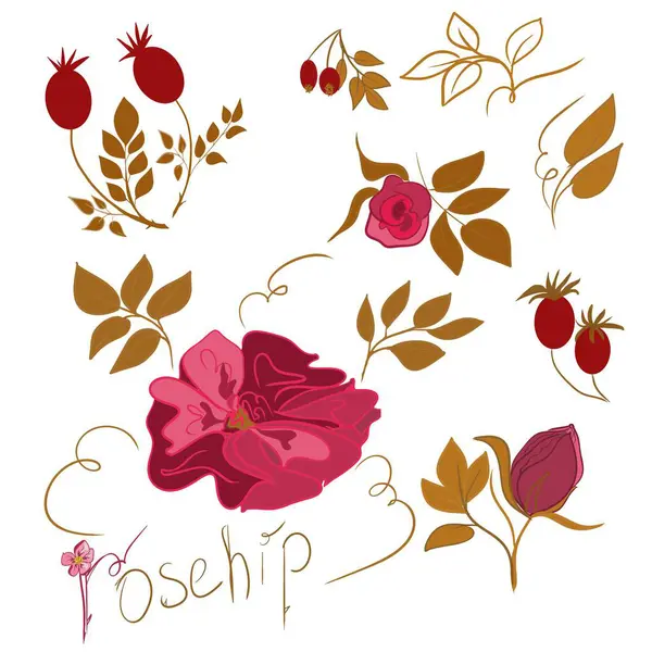 Çiçekler ve yapraklar ve gül kalemi, desen, dekor, sanat, sembol, logonun bir parçası, çiçek, set