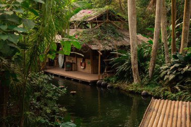 Leipzig Hayvanat Bahçesi, Almanya, İnsanlar yazın hayvanat bahçesini ziyaret eder. Tropikal manzara