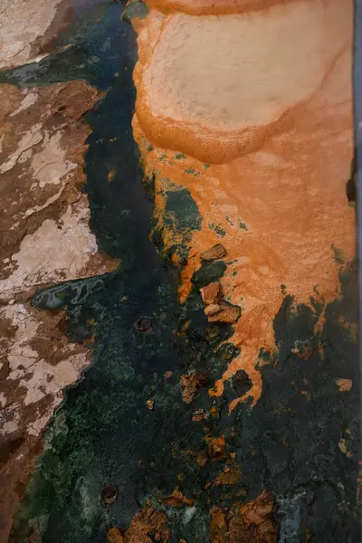 Karlovy Vary 'de mineral birikimi, yaşam ve sağlık için maden suyu