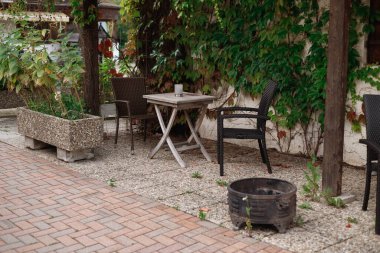 Hollanda 'daki tipik ev, tuğla duvarlar, ahşap bank ve pencereler, Hollanda' nın popüler mahallesindeki yeşil tırmanma tesisleriyle çevrili ve kaplanmış.