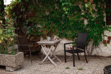 Hollanda 'daki tipik ev, tuğla duvarlar, ahşap bank ve pencereler, Hollanda' nın popüler mahallesindeki yeşil tırmanma tesisleriyle çevrili ve kaplanmış.