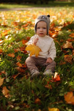 Sarı Sonbahar Parkı. Yaprak düşer ve sarı yapraklar dökülür. 1 yaşında tatlı bir erkek bebeğin portreleri. güneşli bir gün.