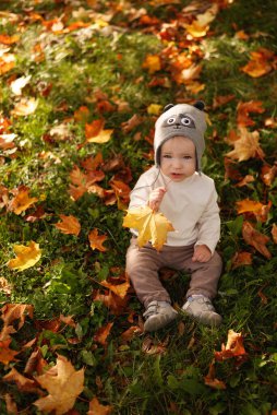 Sarı Sonbahar Parkı. Yaprak düşer ve sarı yapraklar dökülür. 1 yaşında tatlı bir erkek bebeğin portreleri. güneşli bir gün.