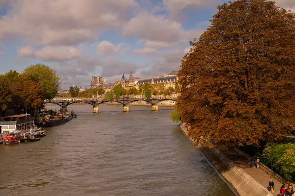 Fransa, Paris - 2024 - Pont Neuf, Paris 'in Seine Nehri üzerindeki en eski köprüdür. Üzerinde insan yüzü heykelleri olan eski taş köprü, boşluğu kopyala, seçici odak.