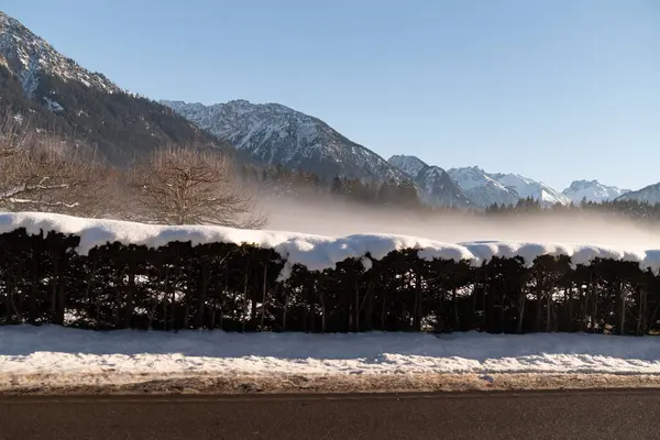 Karlı havada sis, Alp dağlarının manzarası, yol. Kış dağının panoramik manzarası