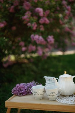 Sevimli Leylak Çiçek Açtı Mükemmel Piknik Sahnesi