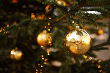 Noel top ve yeşil çam dalı